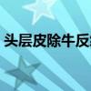 头层皮除牛反绒是真皮吗（牛反绒是真皮吗）