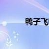 鸭子飞呀飞歌曲（鸭子飞呀飞）