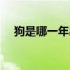 狗是哪一年出生的（羊是哪一年出生的）