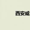 西安威尔斯陶瓷（威尔斯陶瓷）
