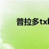 普拉多txln报价及图片（普拉多txl）