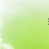 瑕疵英文(瑕疵) 瑕疵英文(瑕疵)