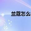 兰蔻怎么样什么档次（兰蔻怎么样）