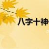 八字十神代表什么意思（八字十神）