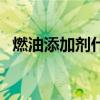 燃油添加剂什么时候加合适（燃油添加剂）