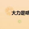 大力是啥东西?（大力是什么东西）