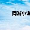 网游小说合集txt（bl网游小说吧）