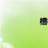 槽楔加工设备（槽楔）