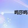 呜莎呜莎心理测试（呜莎测试）