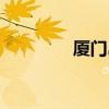 厦门岛内面积（厦门岛内）