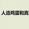 人造鸡蛋和真鸡蛋的区别有哪些（人造鸡蛋）
