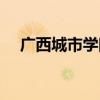 广西城市学院录取分数（广西城市学院）