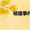 褚建事件（褚健案的幕后黑手赵）