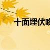 十面埋伏吻戏在哪里（十面埋伏吻戏）