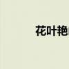花叶艳山姜果实（花叶艳山姜）