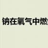 钠在氧气中燃烧生成什么（钠在氧气中燃烧）