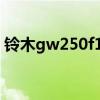 铃木gw250f1灯亮什么原因（铃木gw250f）