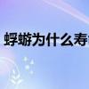 蜉蝣为什么寿命短（蜉蝣为什么只能活一天）