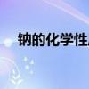 钠的化学性质实验视频（钠的化学性质）