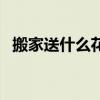 搬家送什么花卉盆栽比较好（搬家送什么）