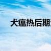犬瘟热后期治疗方法（犬瘟热后期治疗）