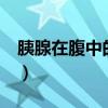 胰腺在腹中的位置图v（胰腺在腹中的位置图）