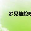 梦见被蛇咬了很多口（梦见被蛇咬了）