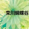 栾川蝴蝶谷风景区好玩吗（栾川蝴蝶谷）
