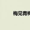 梅见青梅酒多少度（梅见青梅酒）