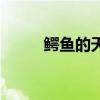 鳄鱼的天敌是什么（鳄鱼的天敌）