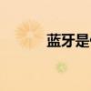 蓝牙是什么信号（蓝牙是什么）