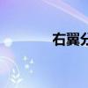 右翼分子的读音（右翼分子）