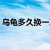 乌龟多久换一次水最好(乌龟多久换一次水) 乌龟多久换一次水最好(乌龟多久换一次水)