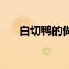 白切鸭的做法和用料（白切鸭的做法）