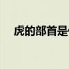 虎的部首是什么部首（舞的部首是什么）