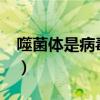 噬菌体是病毒吗?分为几种（噬菌体是病毒吗）