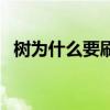 树为什么要刷石灰水（树为什么要刷石灰）