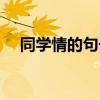 同学情的句子唯美简短（同学情的诗句）