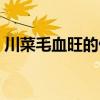 川菜毛血旺的做法大全（川菜毛血旺的做法）