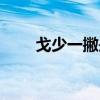戈少一撇是什么字加心（戈少一撇）