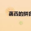 菡萏的拼音怎么读音音（菡萏的拼音）