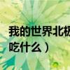 我的世界北极熊吃什么驯服（我的世界北极熊吃什么）