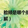 脸颊是哪个部位图解图片（脸颊是哪个部位图解）