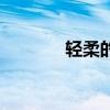 轻柔的反义词(轻的反义词) 轻柔的反义词(轻的反义词)