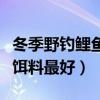 冬季野钓鲤鱼用什么饵料最好（钓鲤鱼用什么饵料最好）