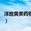 洋地黄类药物使用的禁忌症是（洋地黄类药物）