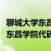 聊城大学东昌学院代码及专业代码（聊城大学东昌学院代码）