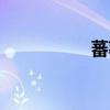 蕃薯藤酒店（蕃薯藤）