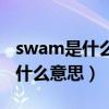 swam是什么意思英语翻译成中文(swam是什么意思) swam是什么意思英语翻译成中文(swam是什么意思)