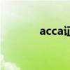 acca证书难考吗（acca证书）